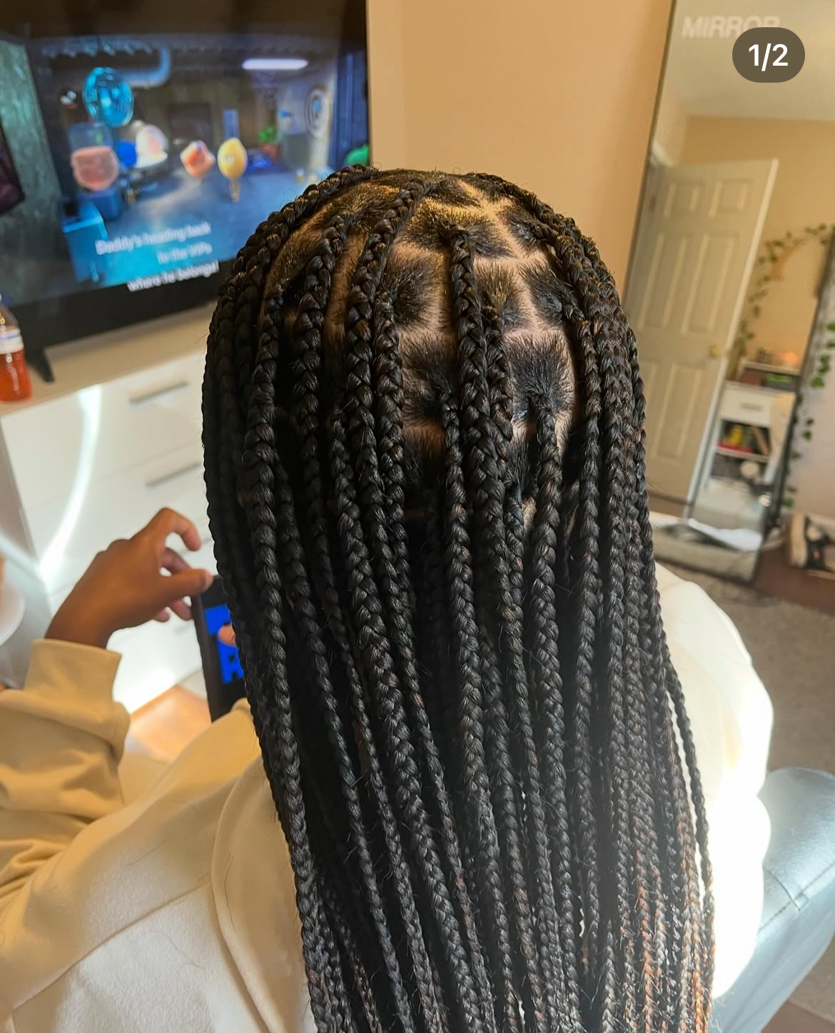 A picture of the back of someones head, showing their braids